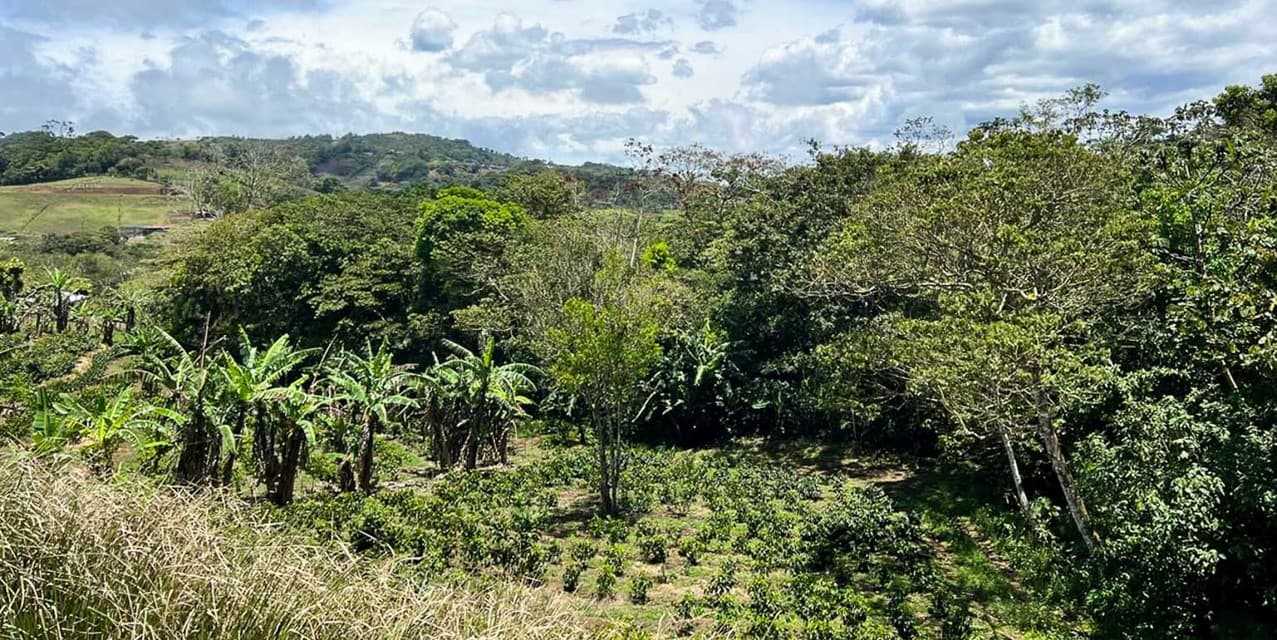 Finca de Ecoturismo en San Ramón — photo