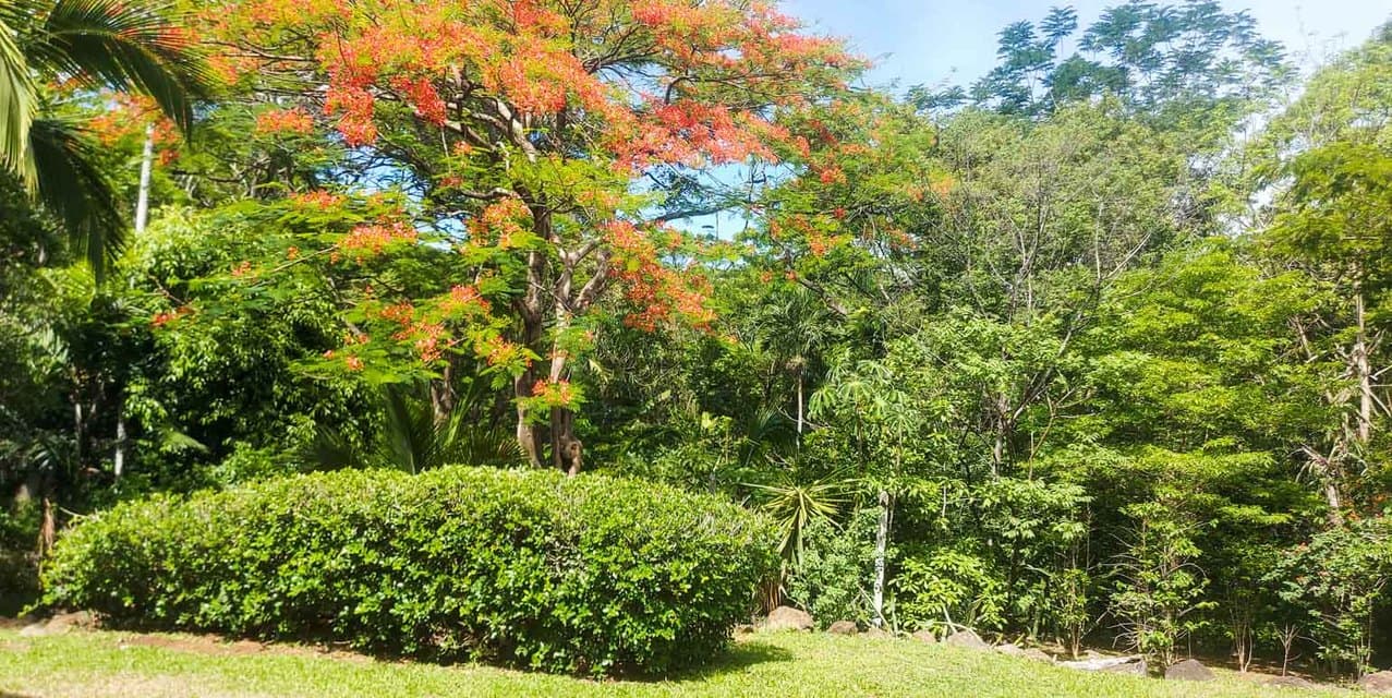 Quinta La Tierra en Cebadilla, Alajuela — photo