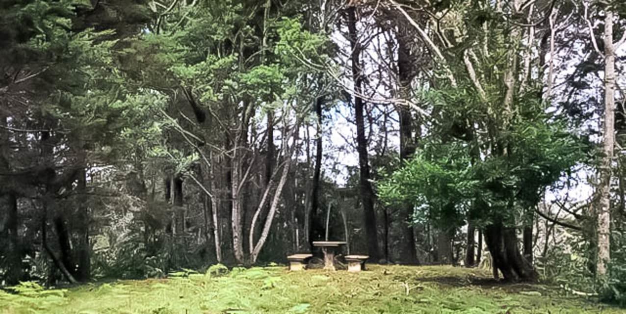 Quinta Bosque del Jardín de Dota — photo