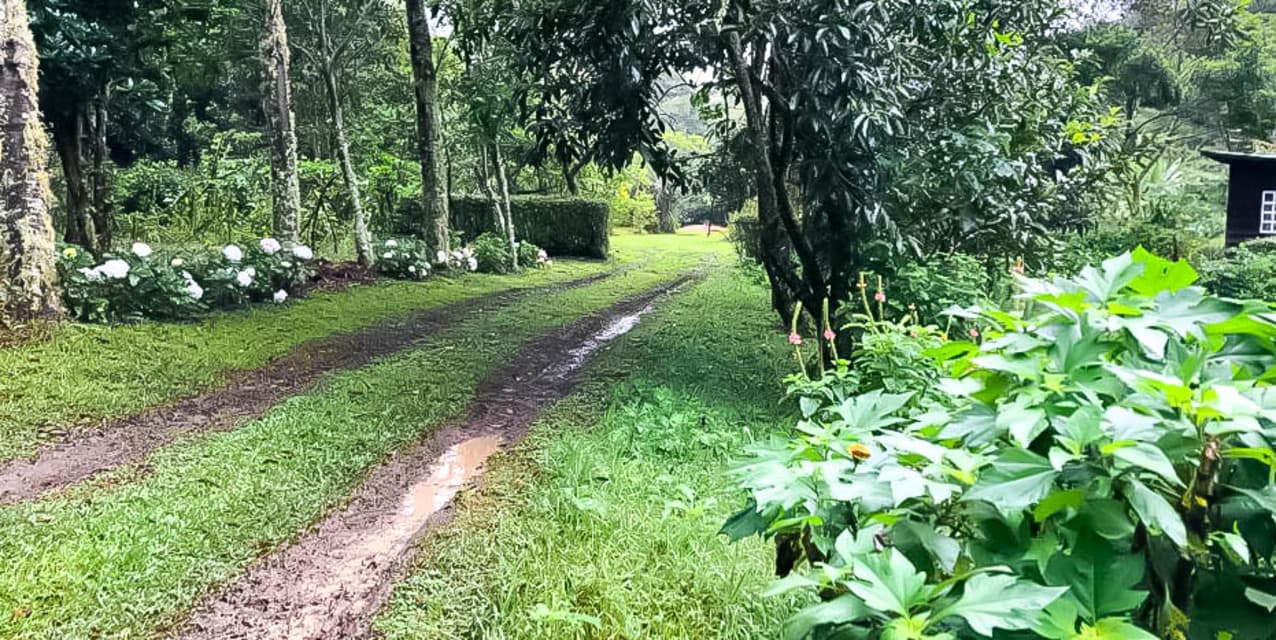 Quinta Bosque del Jardín de Dota — photo