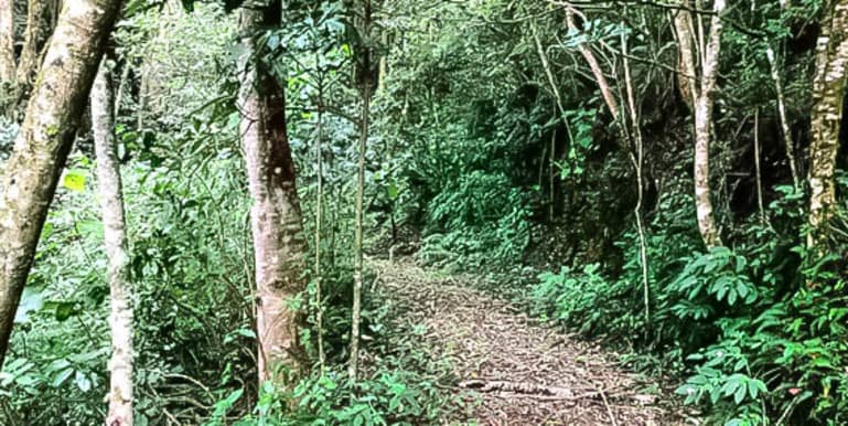 Quinta Bosque del Jardín de Dota