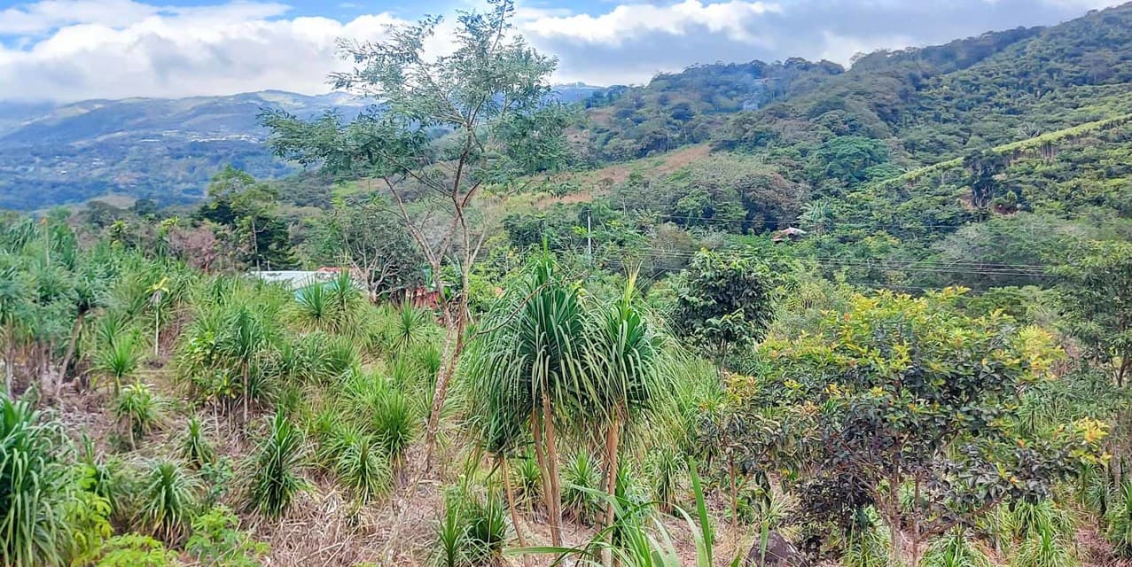 Finca Galería Verde en San Ramón, Alajuela — photo