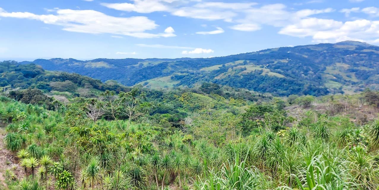 Finca Galería Verde en San Ramón, Alajuela — photo