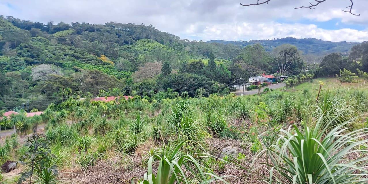 Finca Galería Verde en San Ramón, Alajuela — photo