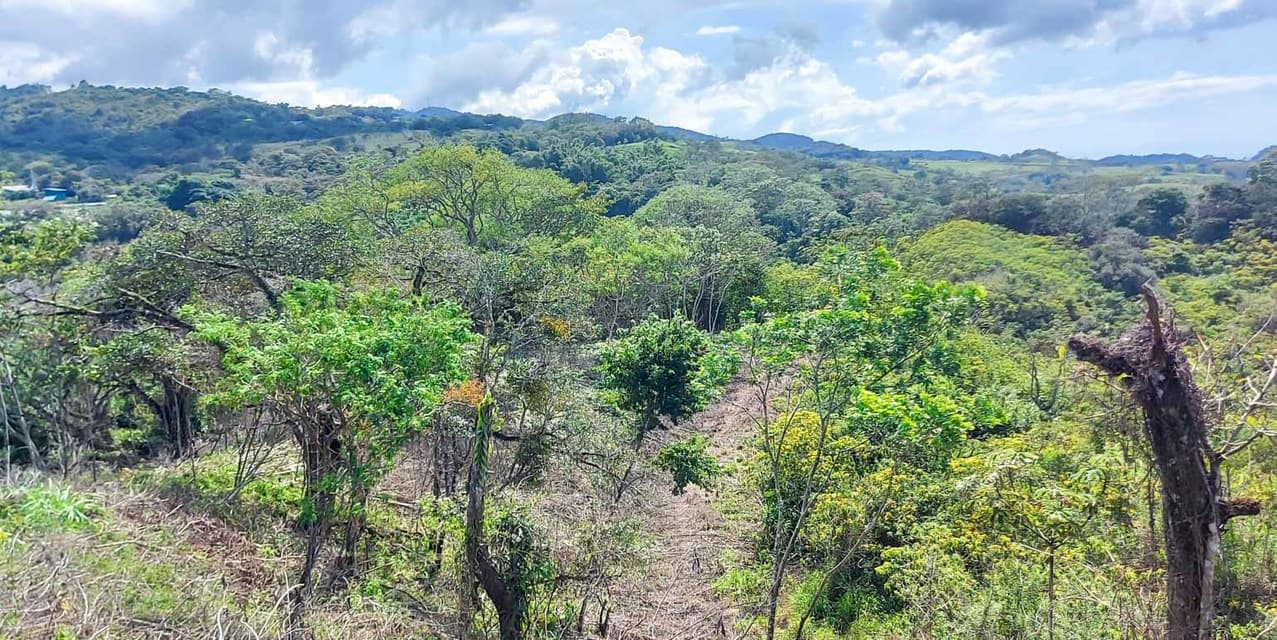 Finca Galería Verde en San Ramón, Alajuela — photo
