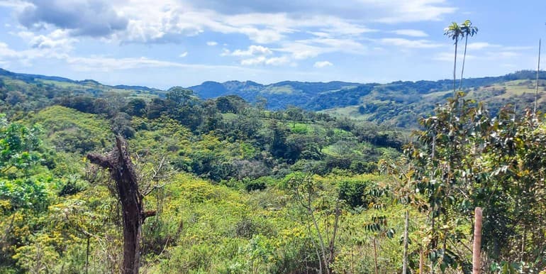 Finca Galería Verde en San Ramón, Alajuela