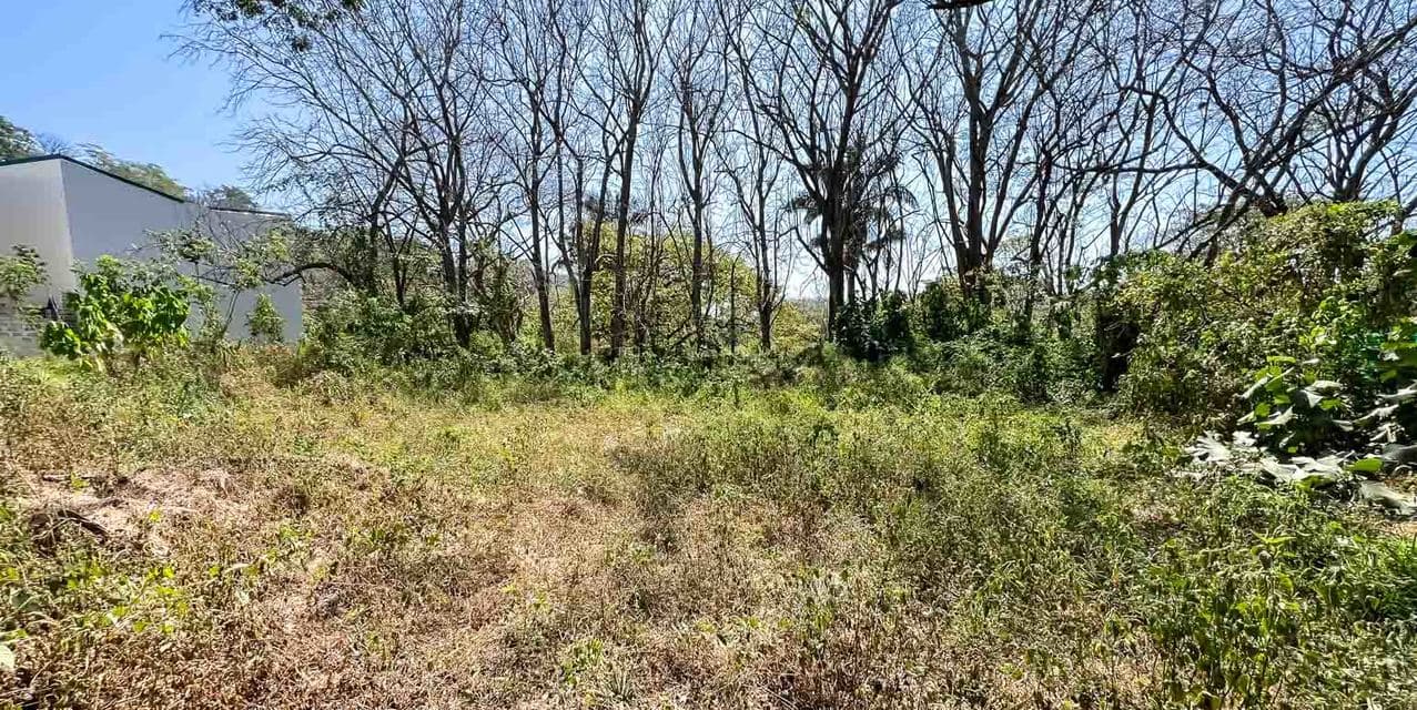 Prime Commercial Lot in Playa Carmen, Santa Teresa — photo