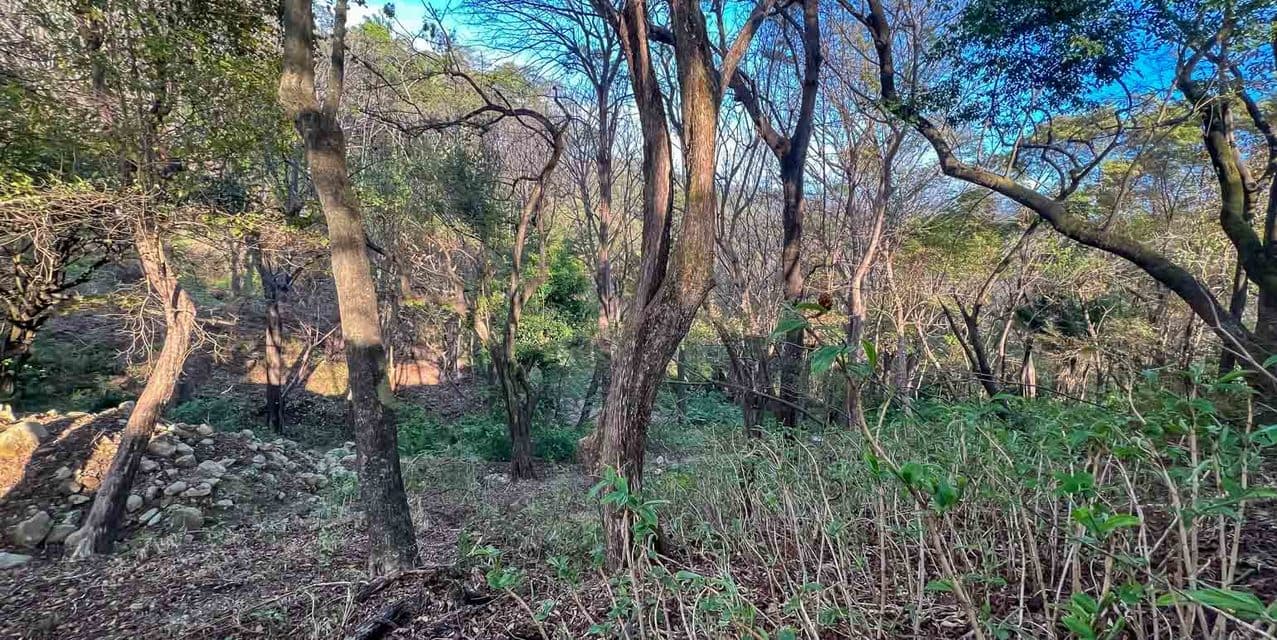 Land in the Hills of Santa Teresa — photo
