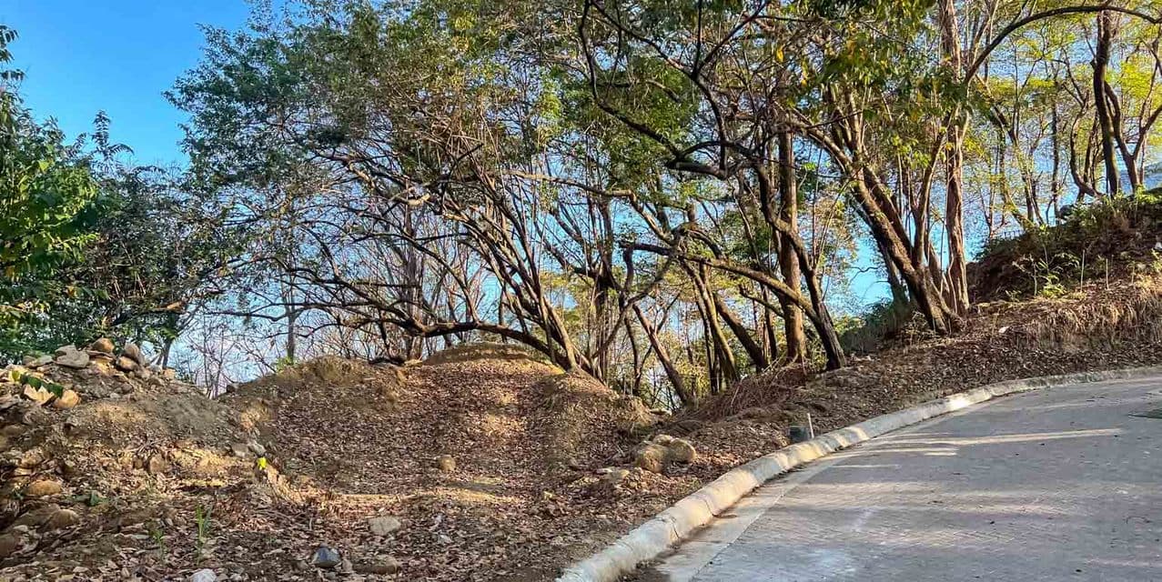 Land in the Hills of Santa Teresa — photo