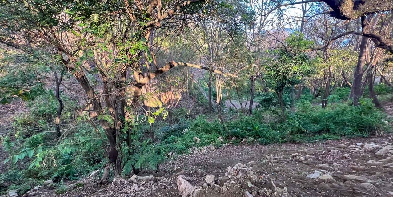 Land in the Hills of Santa Teresa — photo