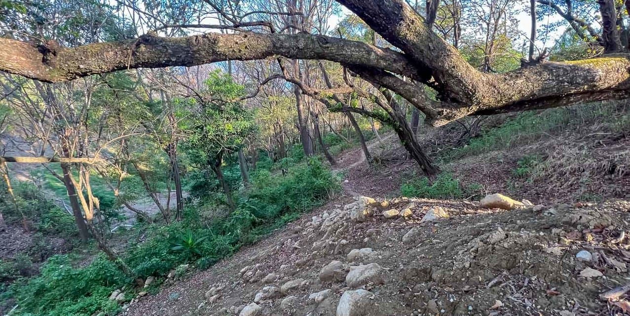 Land in the Hills of Santa Teresa — photo