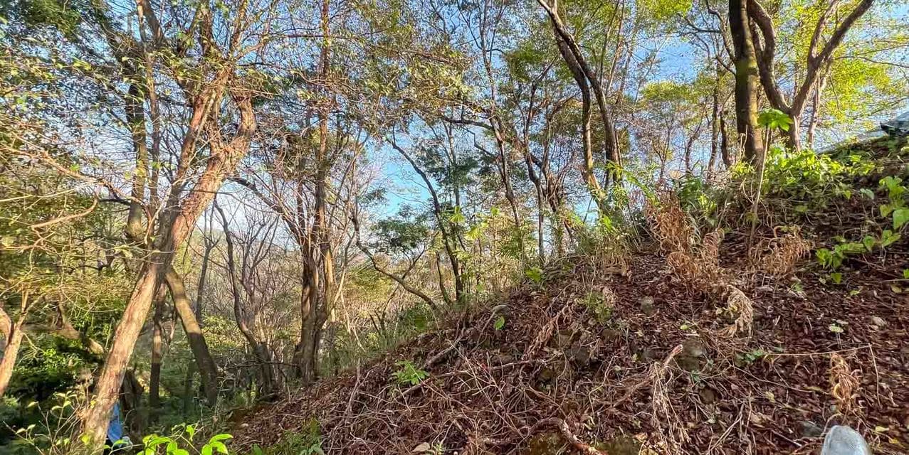 Land in the Hills of Santa Teresa — photo