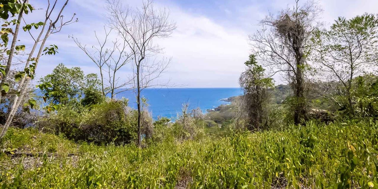 Ocean View Lot Las Manchas Beach near Montezuma — photo