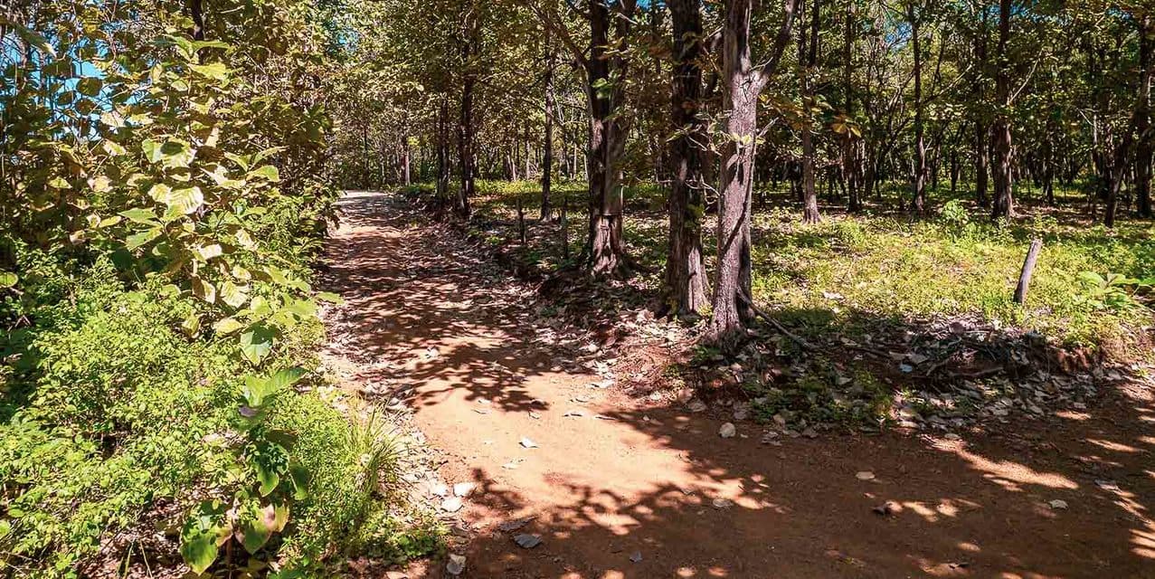 Oceanfront Legacy Land Between Avellanas & Playa Negra — photo