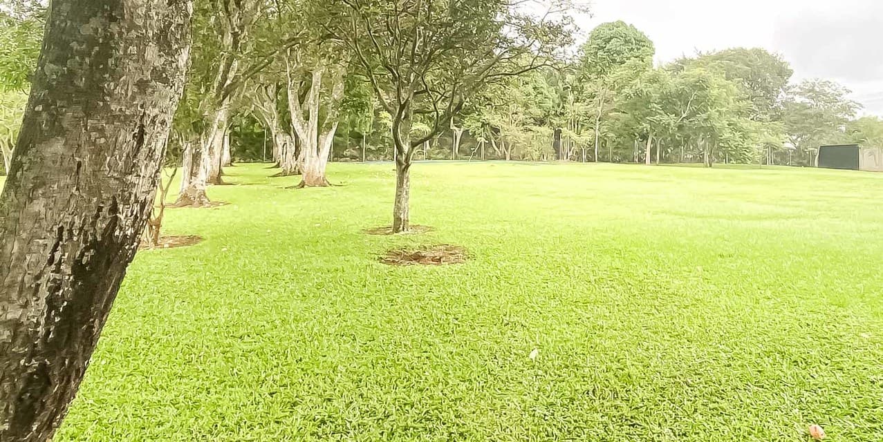 Property for Development in Cacao de Alajuela — photo