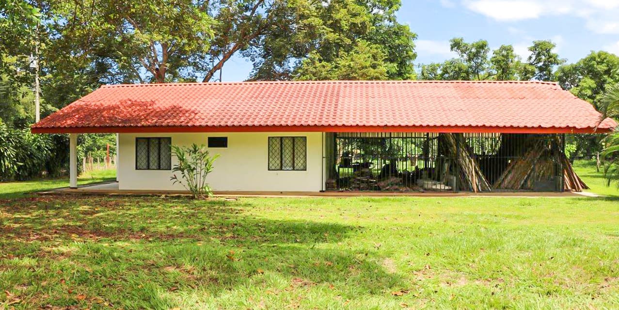 Tropical Fruit Farm in San Pablo de Turrubares — photo