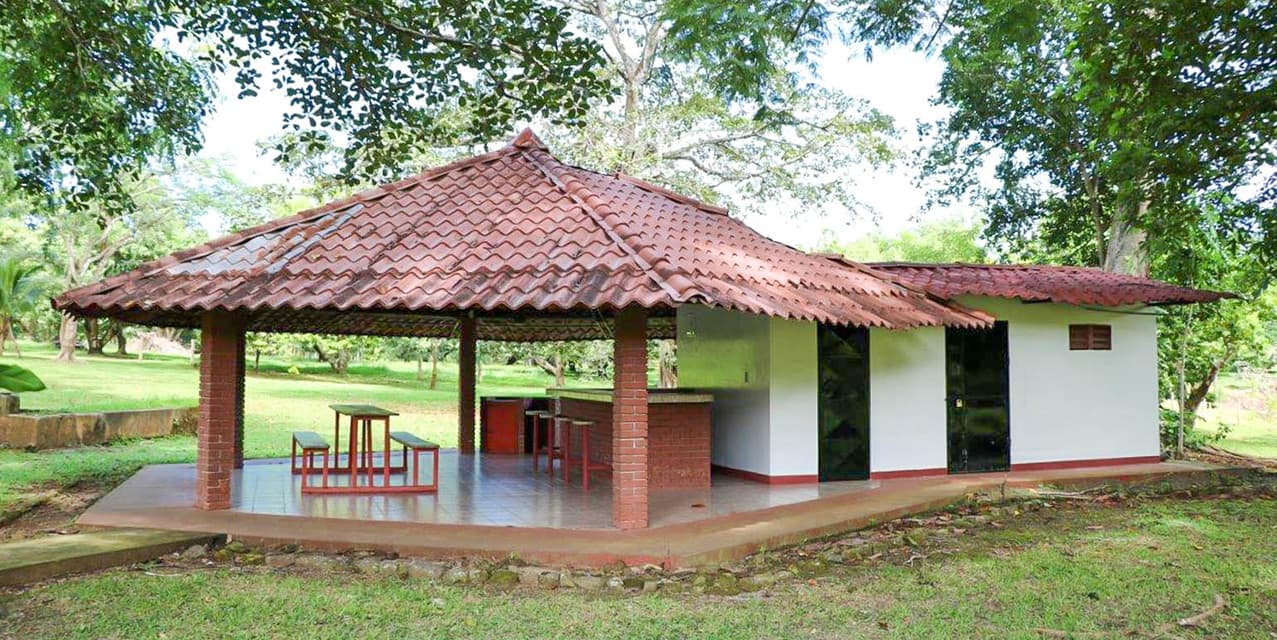 Tropical Fruit Farm in San Pablo de Turrubares — photo