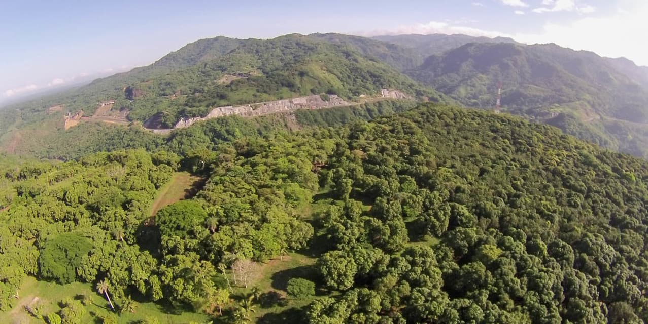 Tropical Fruit Farm in San Pablo de Turrubares — photo