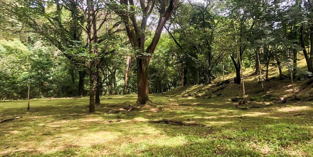Via del Machuca Farm in Orotina — photo