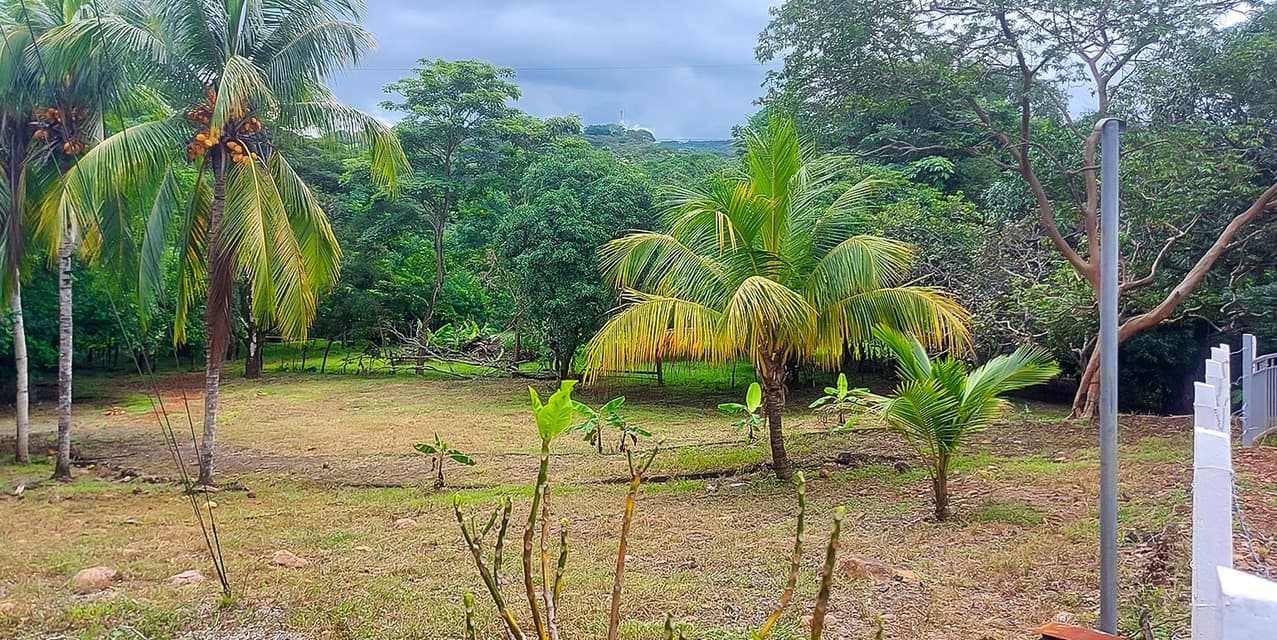 Via del Machuca Farm in Orotina — photo