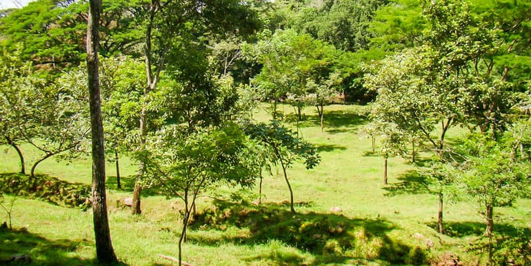 Finca Vía del Machuca, Orotina