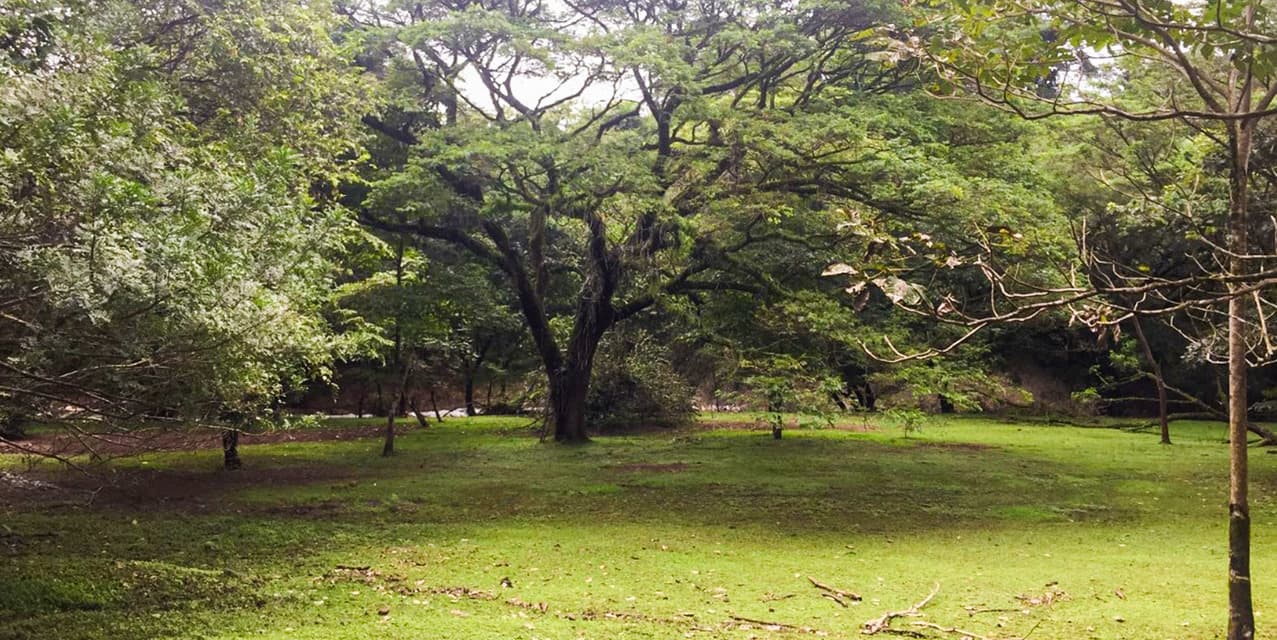 Via del Machuca Farm in Orotina — photo