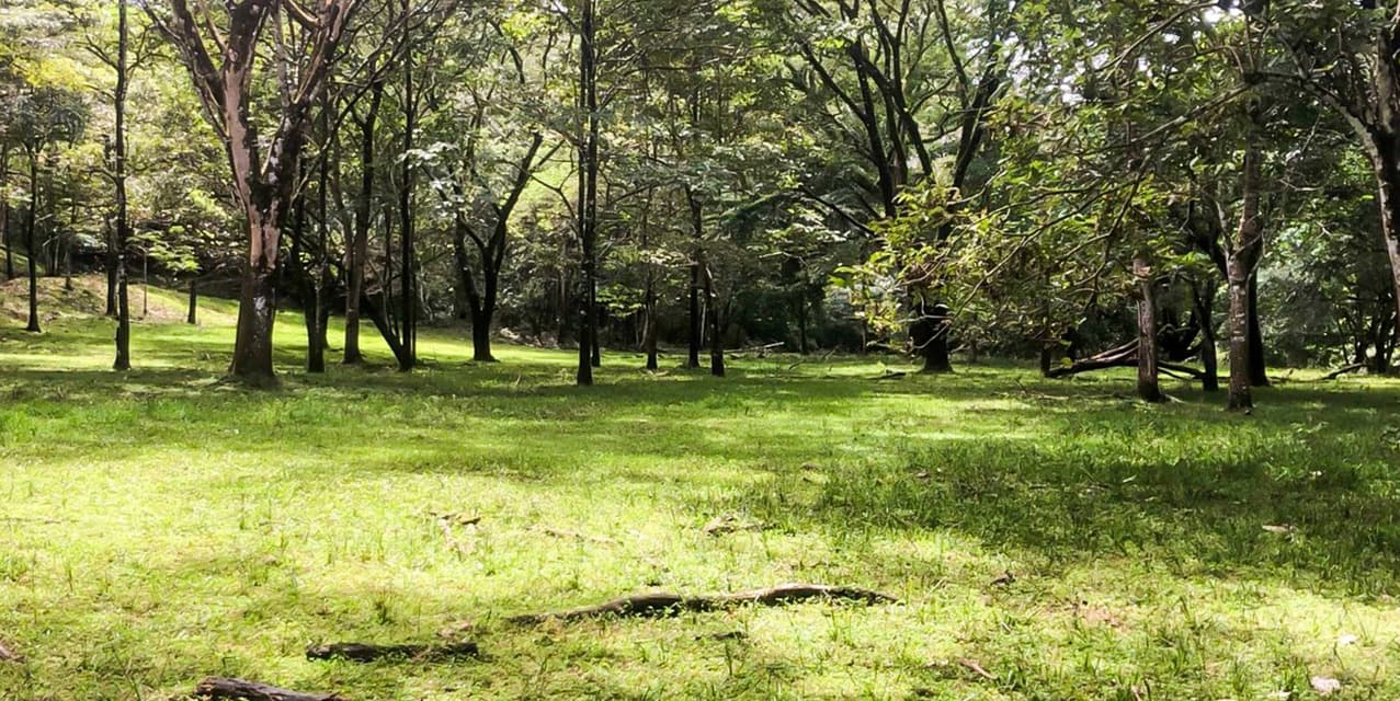 Via del Machuca Farm in Orotina — photo