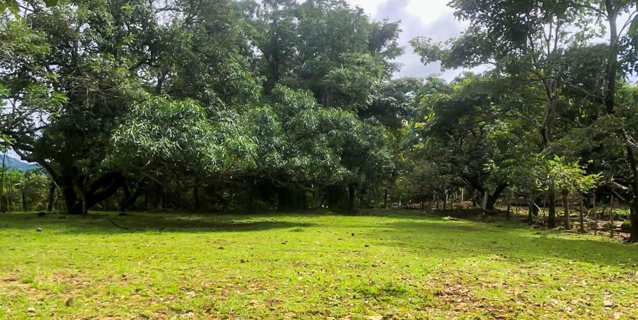 Via del Machuca Farm in Orotina — photo
