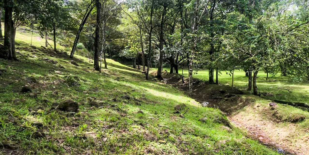 Via del Machuca Farm in Orotina — photo