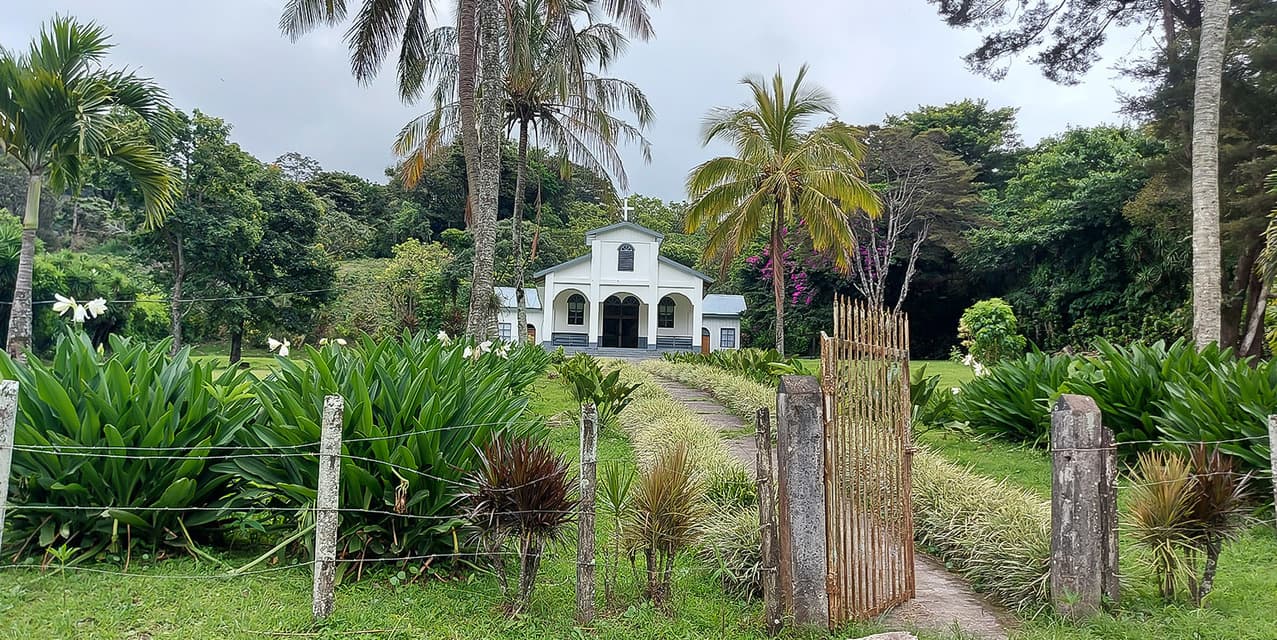 Coffee Mill Farm in Monteverde — photo