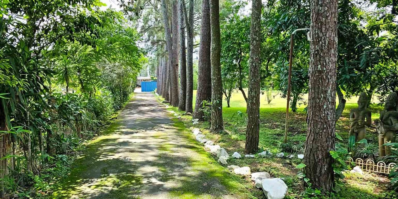Los Abuelitos Recreational Farm in Turrucares — photo