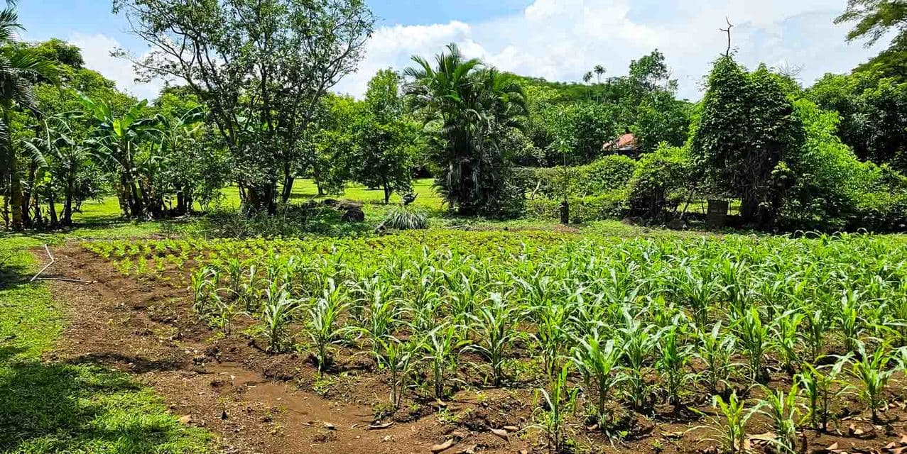 Los Abuelitos Recreational Farm in Turrucares — photo