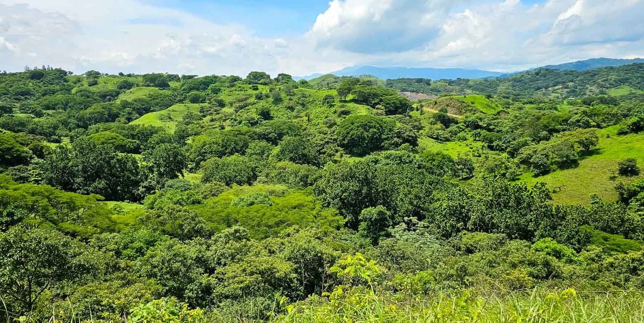 Los Abuelitos Recreational Farm in Turrucares — photo