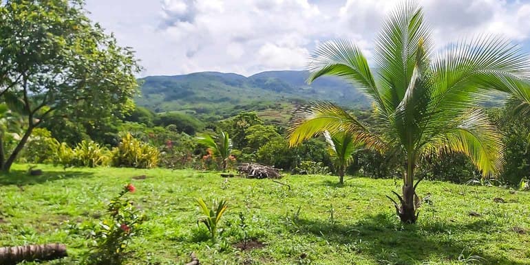 Miramar Farm in Puntarenas