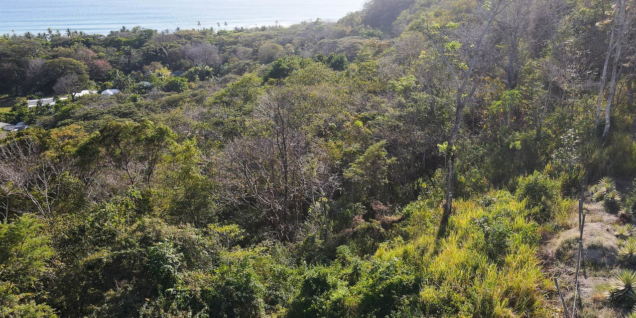 Ocean Luxury View in the hills of Playa Hermosa — photo