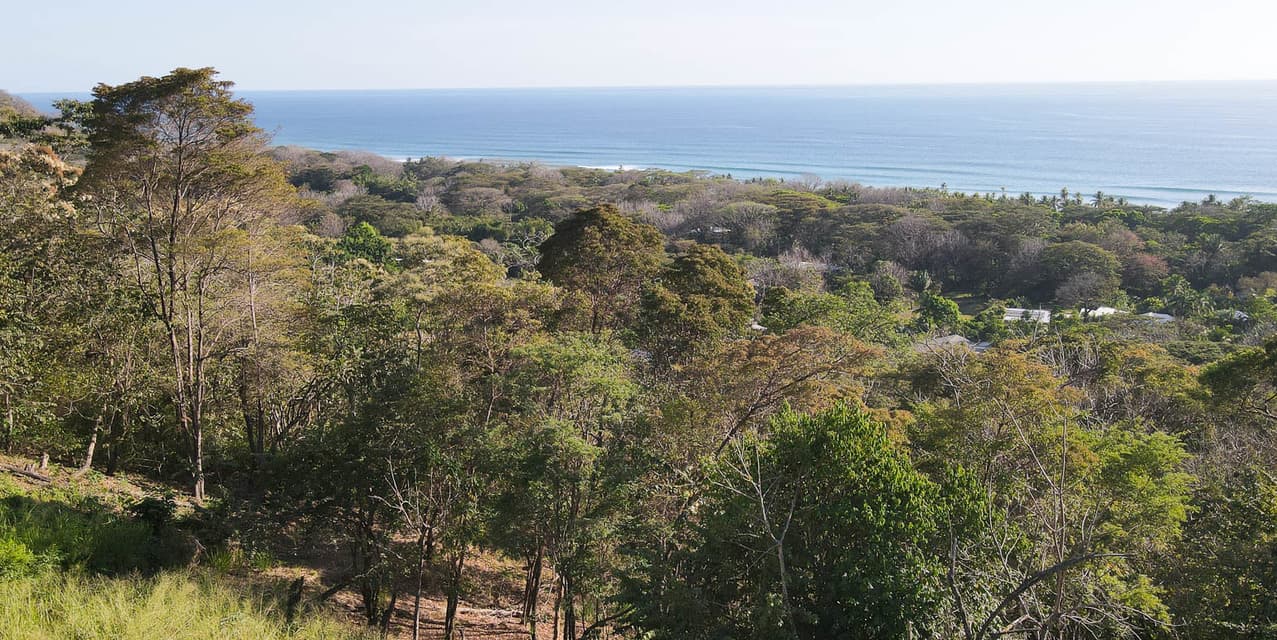 Ocean Luxury View in the hills of Playa Hermosa — photo