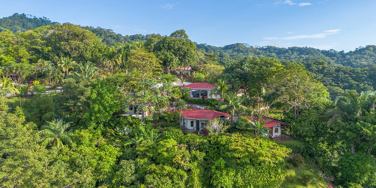 The Sacred View of Osa in Corcovado — photo