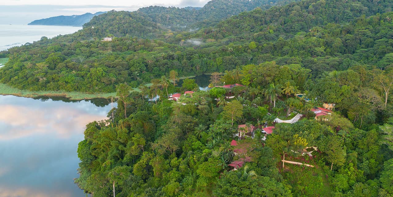 The Sacred View of Osa in Corcovado — photo