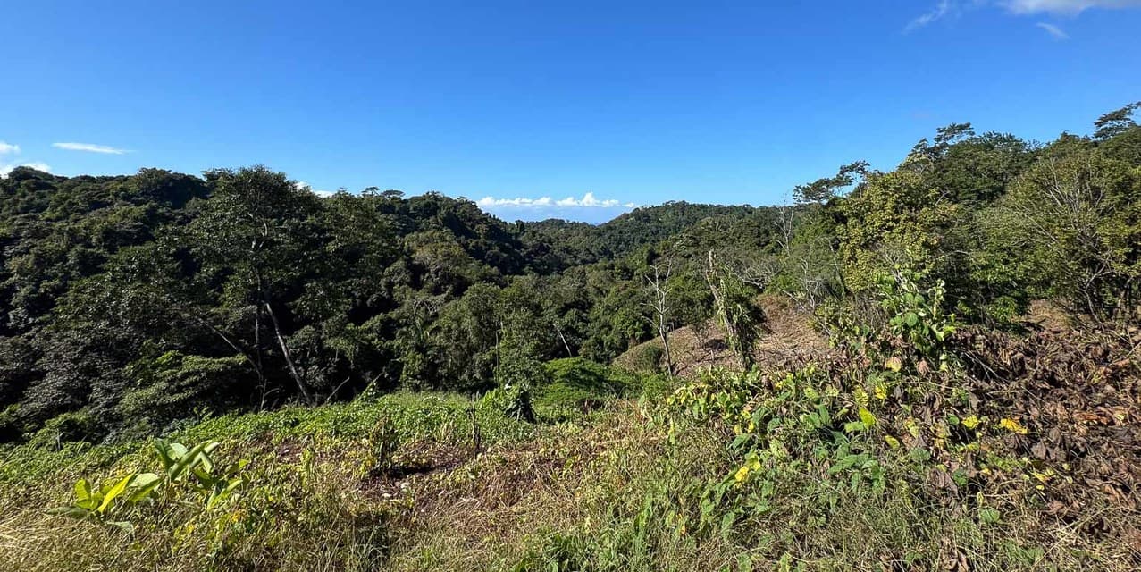 Terreno con Vista al Mar para Desarrollo en Santiago Cerca de Santa Teresa — photo