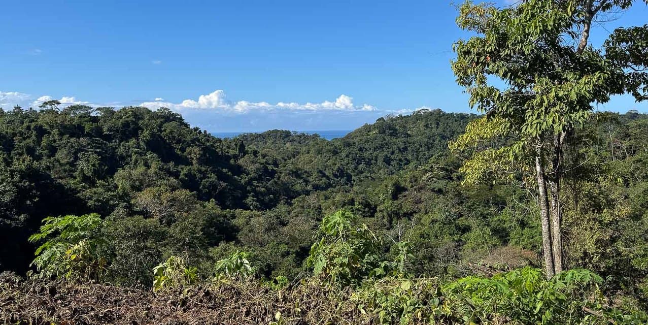 Terreno con Vista al Mar para Desarrollo en Santiago Cerca de Santa Teresa — photo