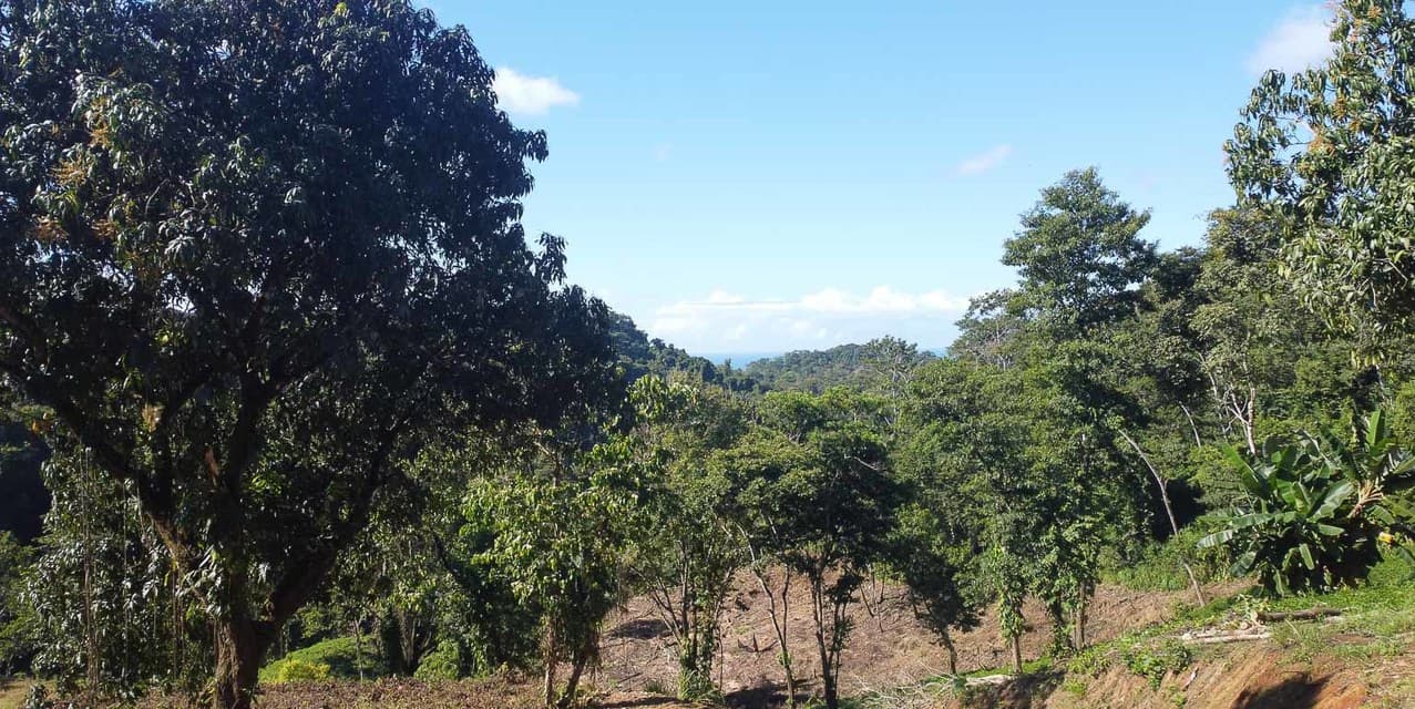 Terreno con Vista al Mar para Desarrollo en Santiago Cerca de Santa Teresa — photo