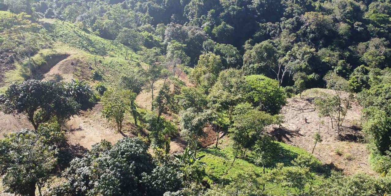 Terreno con Vista al Mar para Desarrollo en Santiago Cerca de Santa Teresa — photo