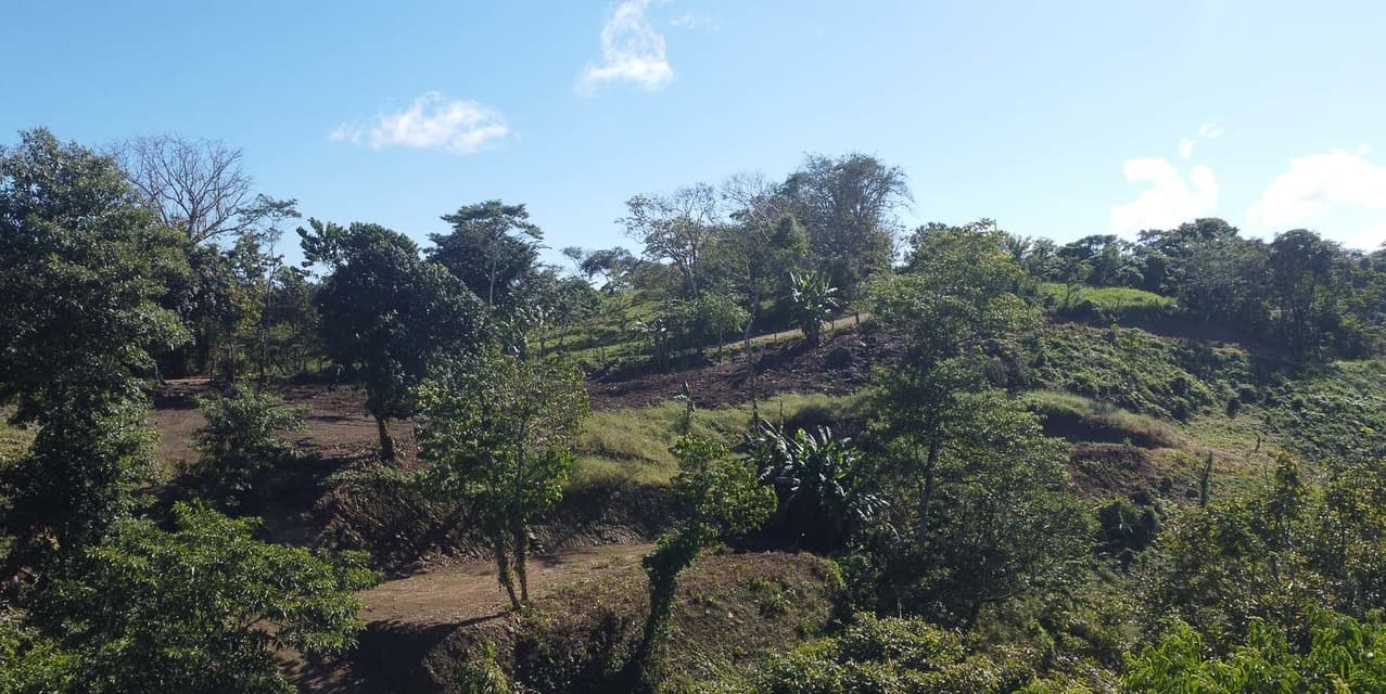 Terreno con Vista al Mar para Desarrollo en Santiago Cerca de Santa Teresa — photo