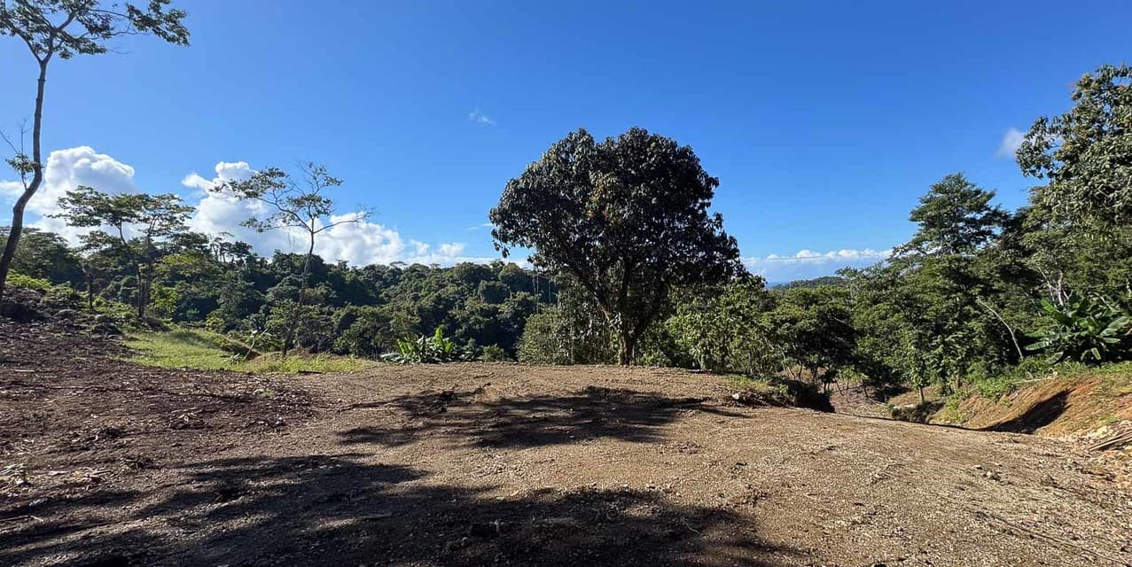 Terreno con Vista al Mar para Desarrollo en Santiago Cerca de Santa Teresa — photo