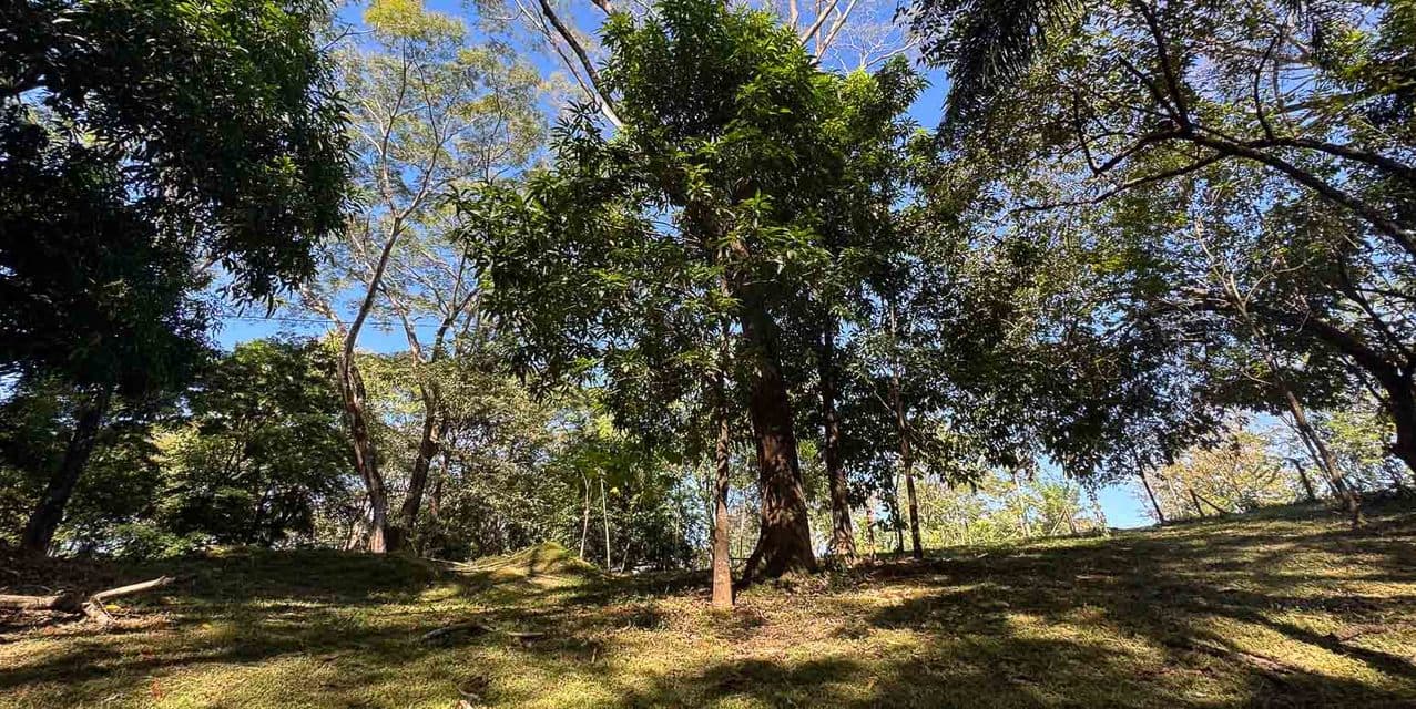 Versatile Development Land in Santiago — photo
