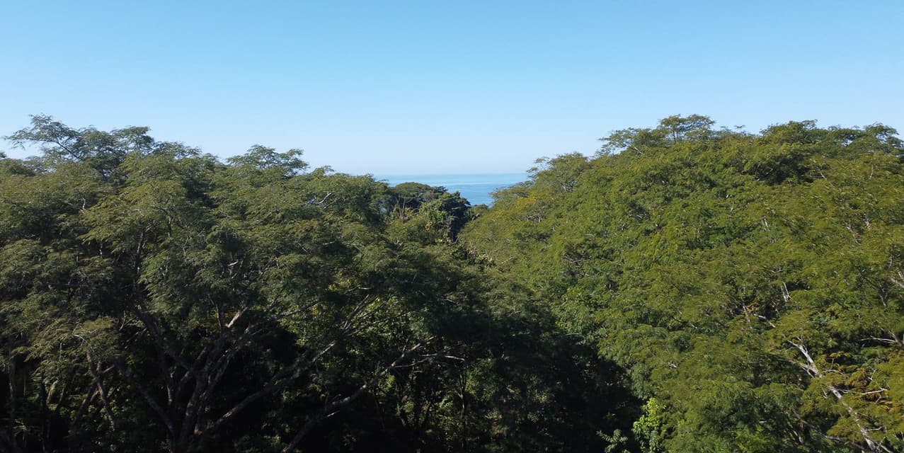 Versatile Development Land in Santiago — photo