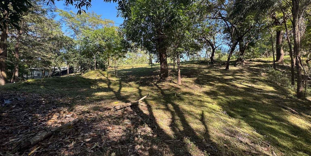 Versatile Development Land in Santiago — photo