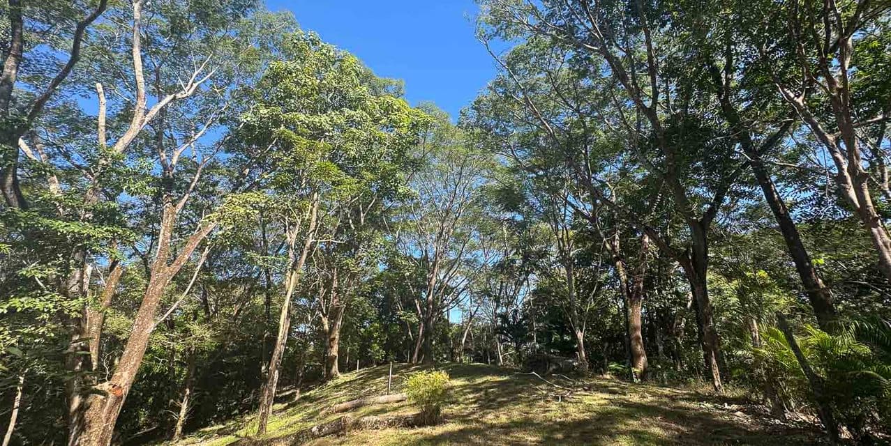 Versatile Development Land in Santiago — photo