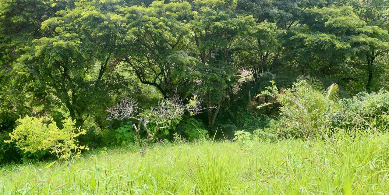 Eco-Village Homesites in San Isidro — photo
