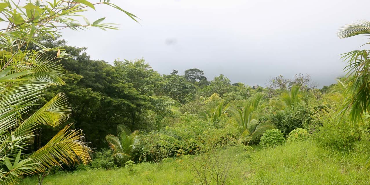 Eco-Village Homesites in San Isidro — photo